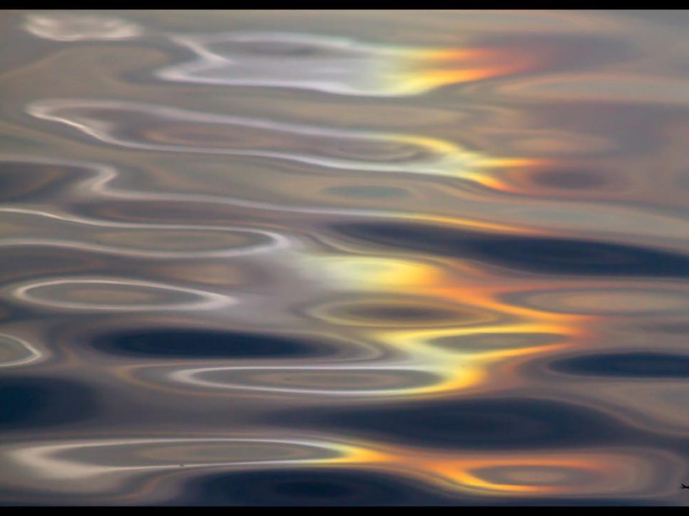 22427005_309646062835016_588340696268668928_n