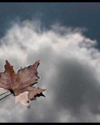 22709274_127924587870856_4698050994636849152_n