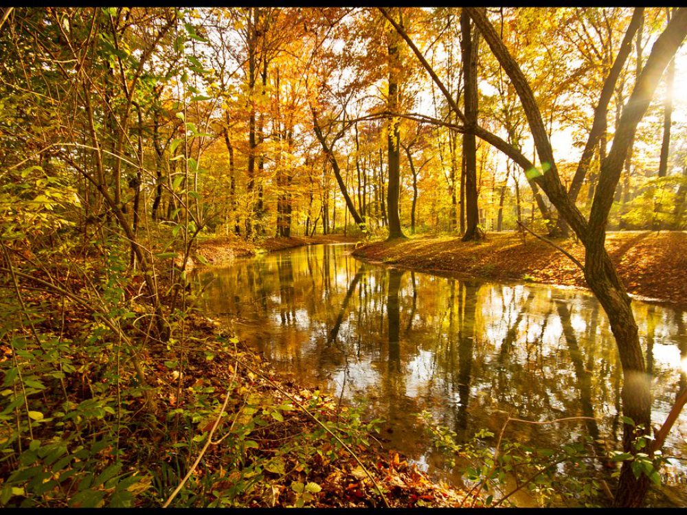 6314223017_eaeb6d64c0_b